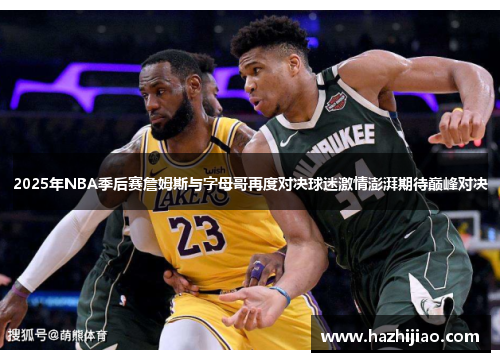 2025年NBA季后赛詹姆斯与字母哥再度对决球迷激情澎湃期待巅峰对决